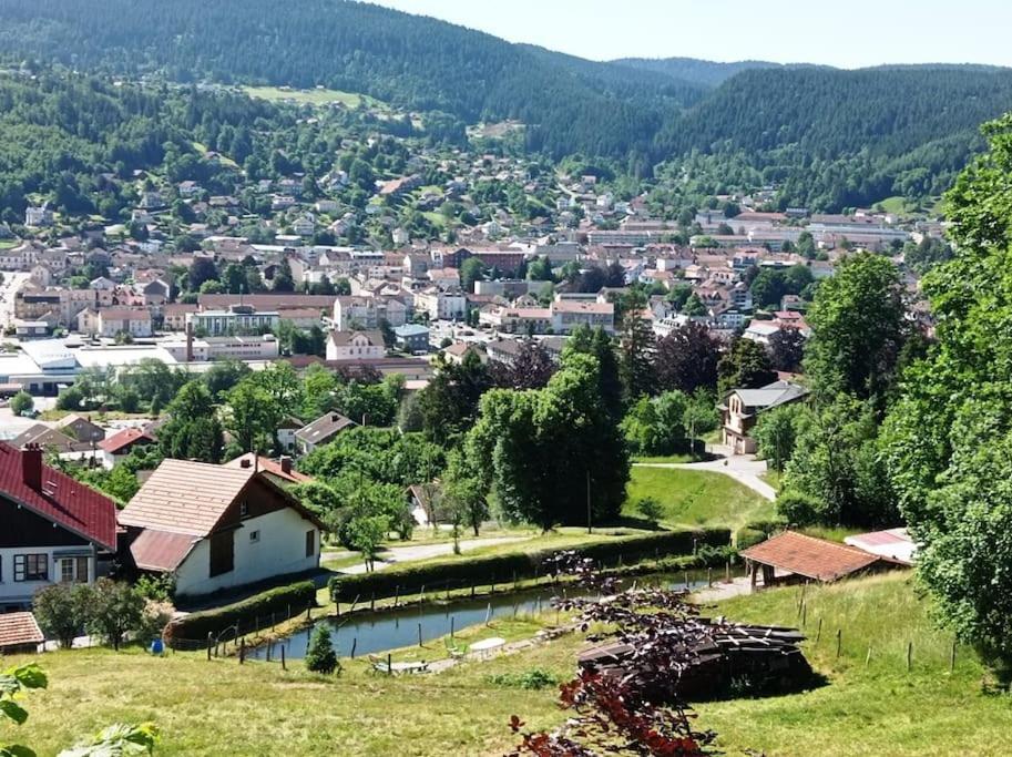 Chalet De Standing 14 Personnes Gérardmer Exterior foto